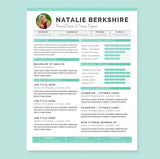 microsoft word cv template